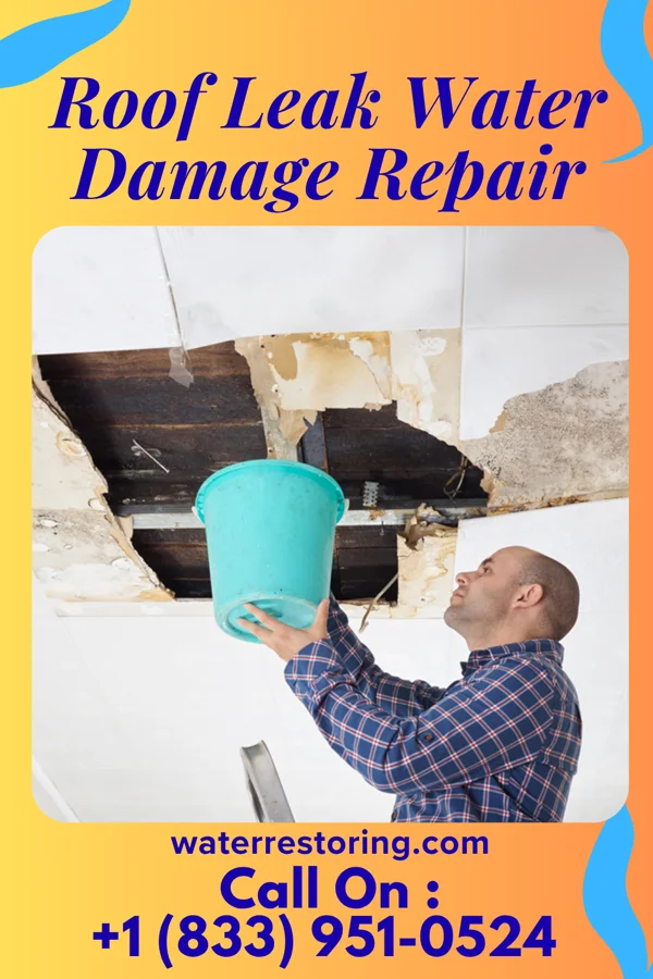 Roof Leak Water Damage Repair in North Sultan, WA